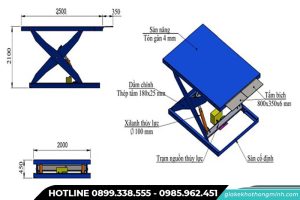 Cấu tạo ban nang chữ X