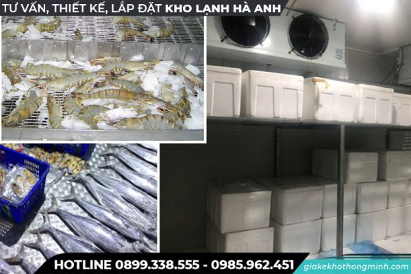 Kho lạnh bảo quản Hải Sản