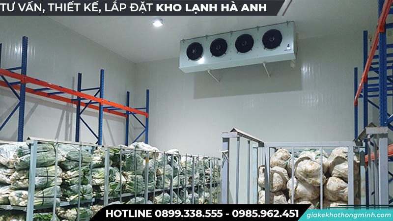 Kho lạnh bảo quản hạt giống