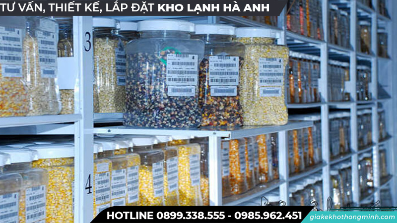 Cấu tạo Kho lạnh bảo quản hạt giống