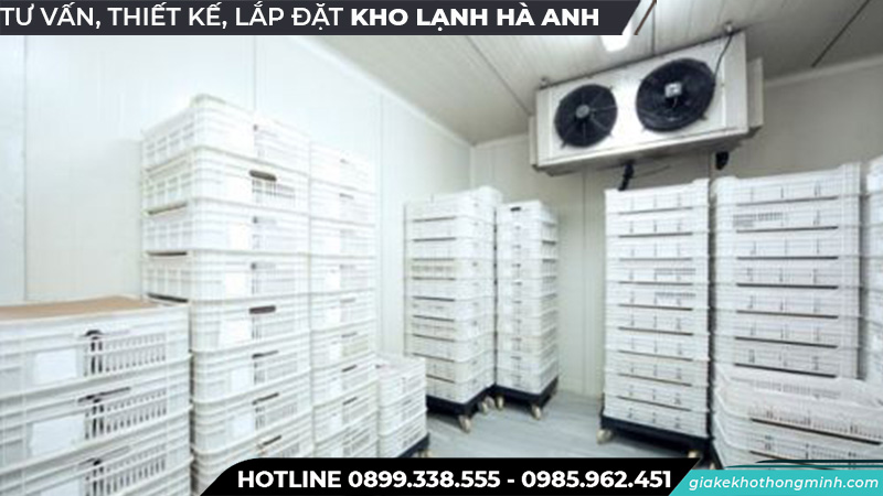 Kho lạnh bảo quản hạt giống