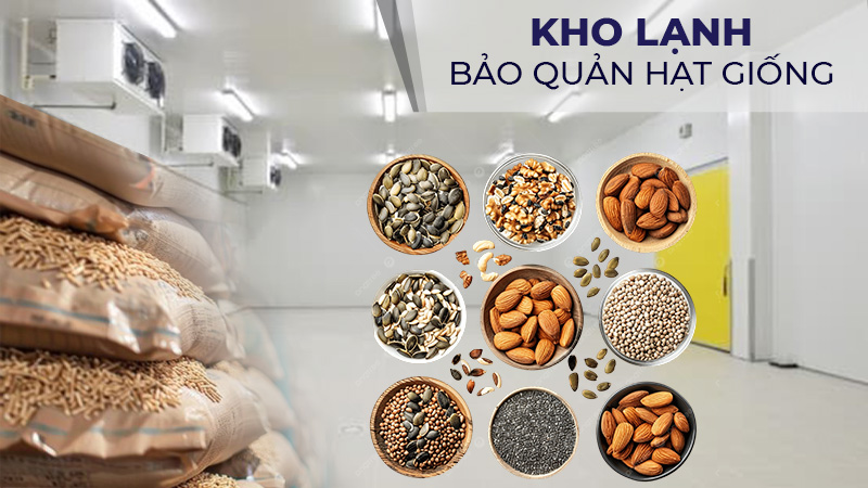 Kho lạnh bảo quản hạt giống