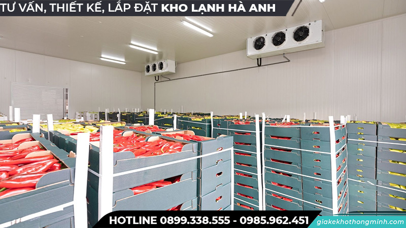 Kho lạnh bảo quản trái cây chất lượng