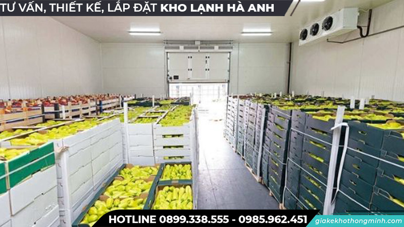 Kho lạnh bảo quản trái cây