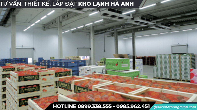 Kho lạnh bảo quản trái cây