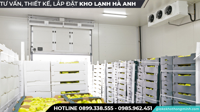 Kho lanh bảo quản trái cây do Hà Anh lắp đặt