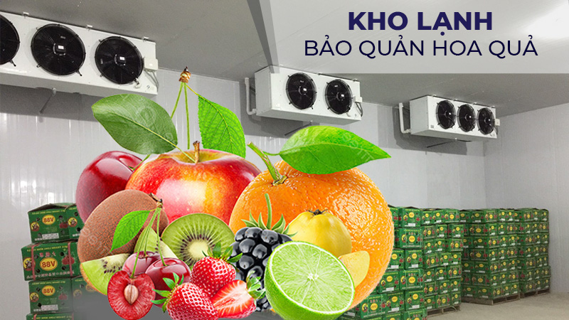 Kho lạnh quản quản trái cây