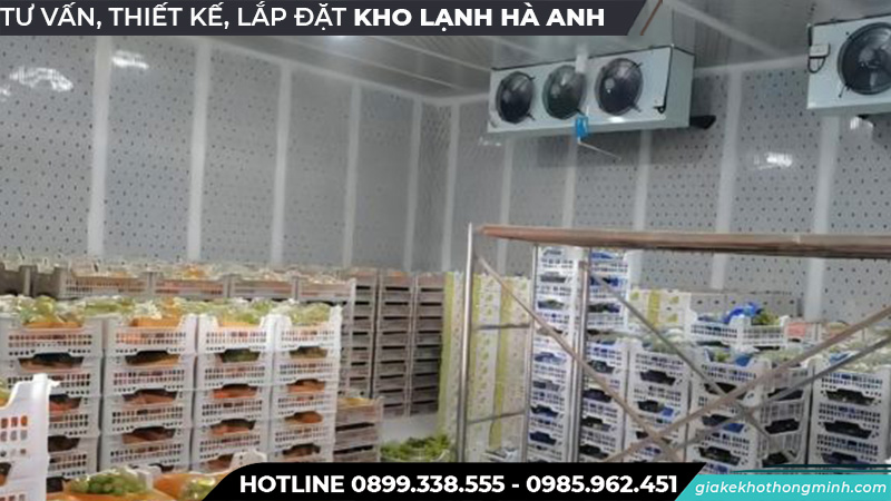 Kho bảo quản nho