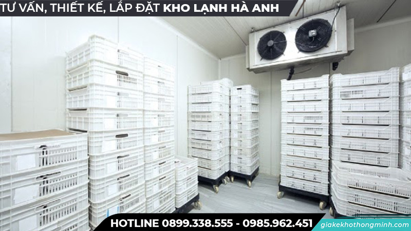 Kho lạnh bảo quản trong kho nhập khẩu