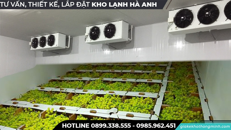 Kho lạnh bảo quản nho