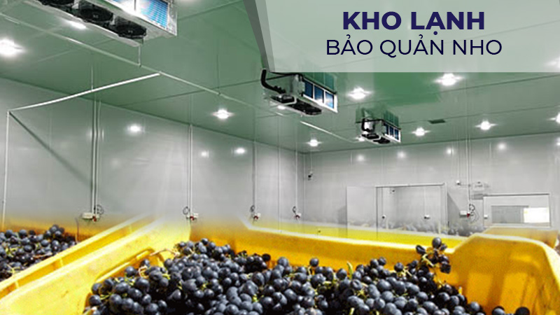 Kho lạnh bảo quản nho