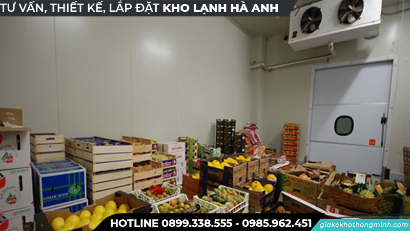 lắp đặt kho lạnh bảo quản Quýt