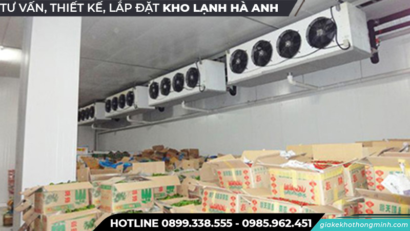 Kho lạnh bảo quản cam
