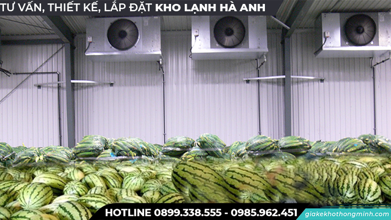 Kho lạnh bảo quản dưa