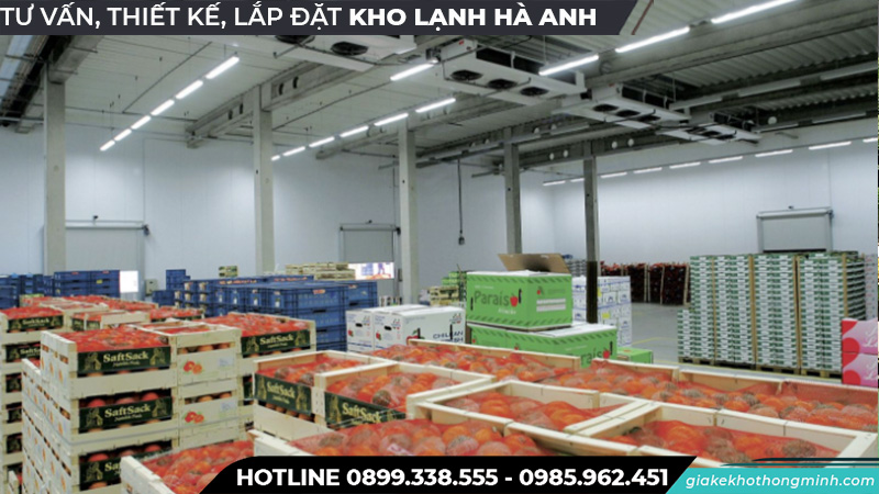 Kho lạnh bảo quản táo chất lượng