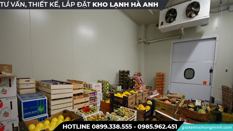 Kho lạnh bảo quản các loại táo
