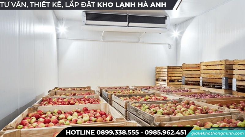 Kho lạnh bảo quản táo