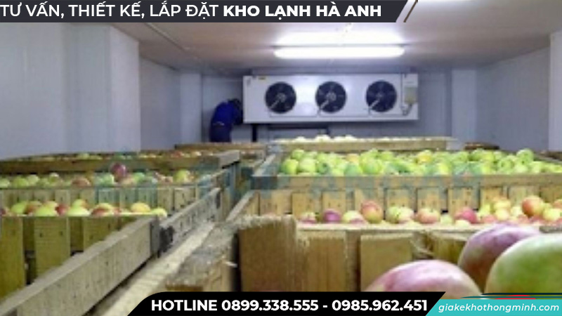Kho lạnh bảo quản táo