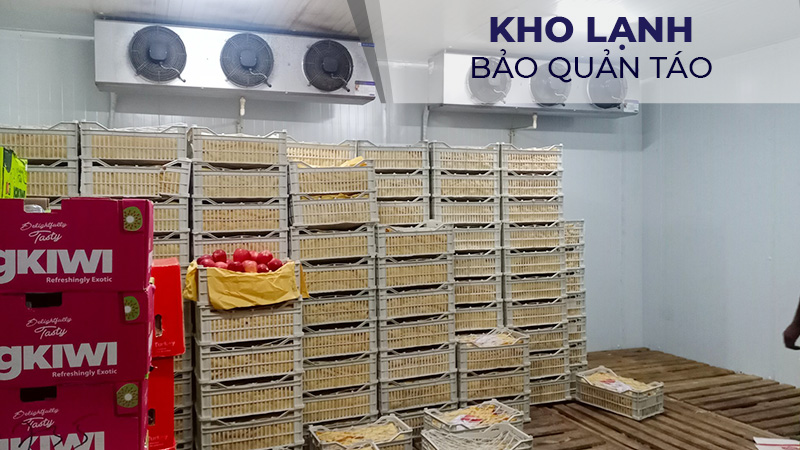 Kho lạnh bảo quản táo
