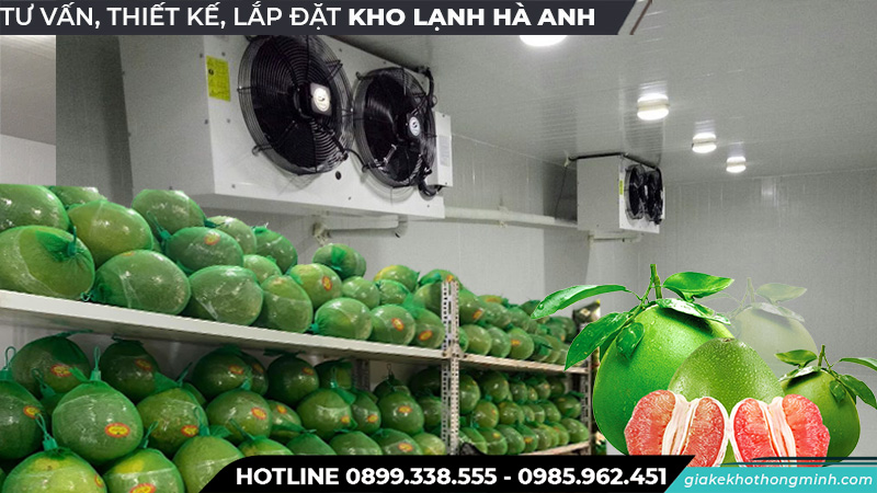 Quy trình bảo quản bưởi