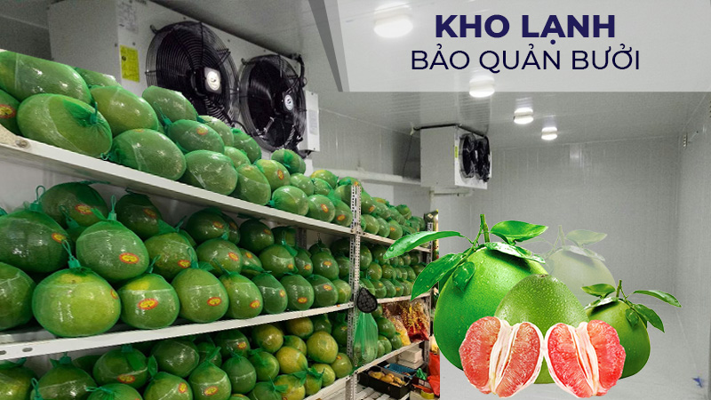 Kho lạnh bảo quản bưởi