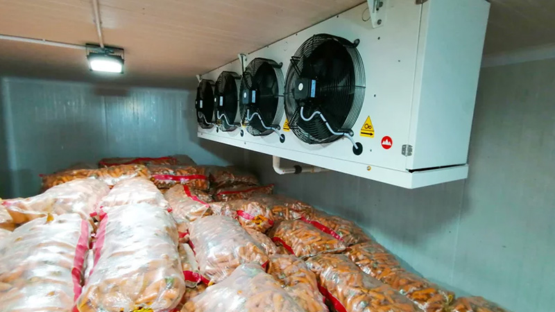 Kho lạnh bảo quản cà rốt