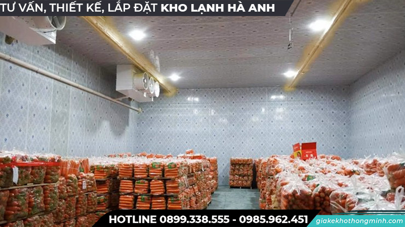 Bào quản ca rót bằng kho lạnh