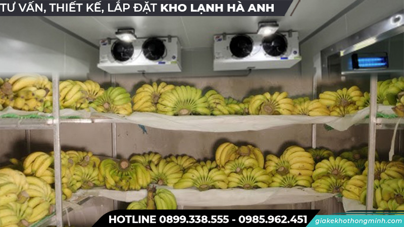 Bảo quản chuối bằng kho lạnh
