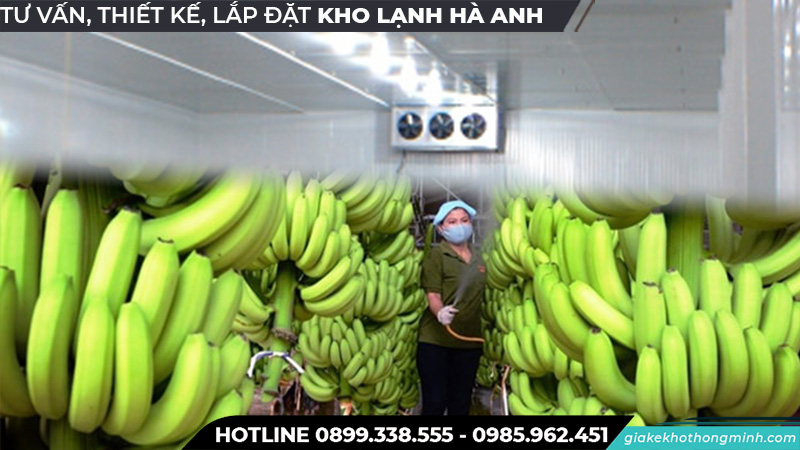 Bào quả chuối bằng kho lạnh đúng quy trình