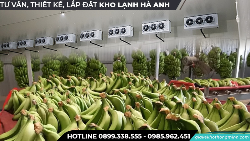 Kho lạnh bảo quản chuối