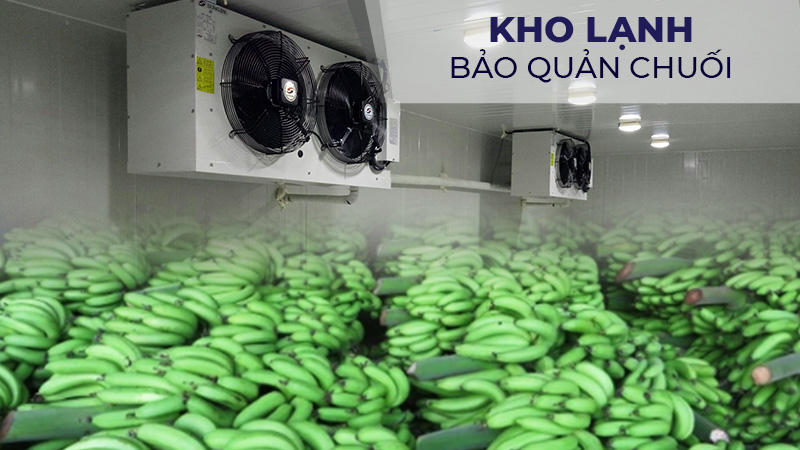 Kho lạnh bảo quản chuối