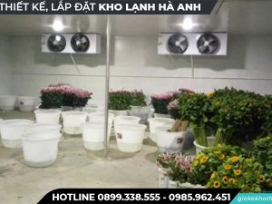 Kho lạnh bảo quả hoa