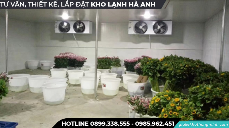 Kho lạnh bảo quả hoa