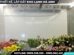 Kho lạnh bảo quả hoa