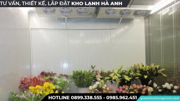 Kho lạnh bảo quả hoa