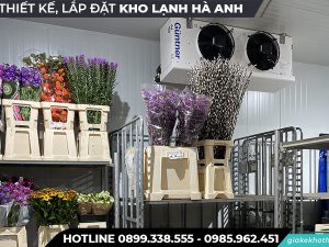 Kho lạnh bảo quả hoa