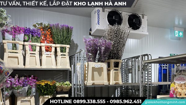 Kho lạnh bảo quả hoa