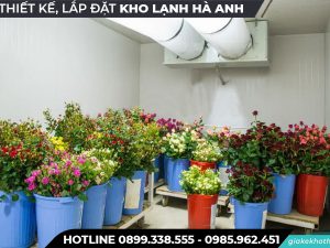 Kho lạnh bảo quả hoa