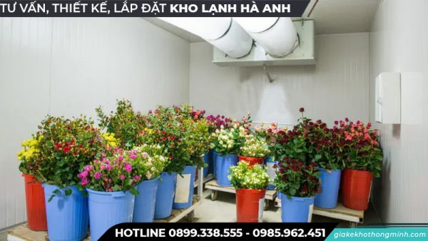 Kho lạnh bảo quả hoa