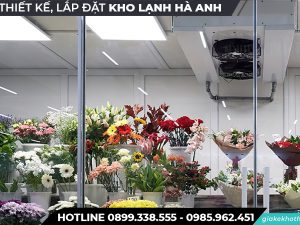 Kho lạnh bảo quả các loại hoa