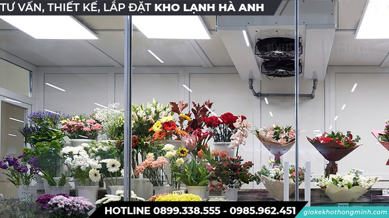Kho lạnh bảo quả các loại hoa