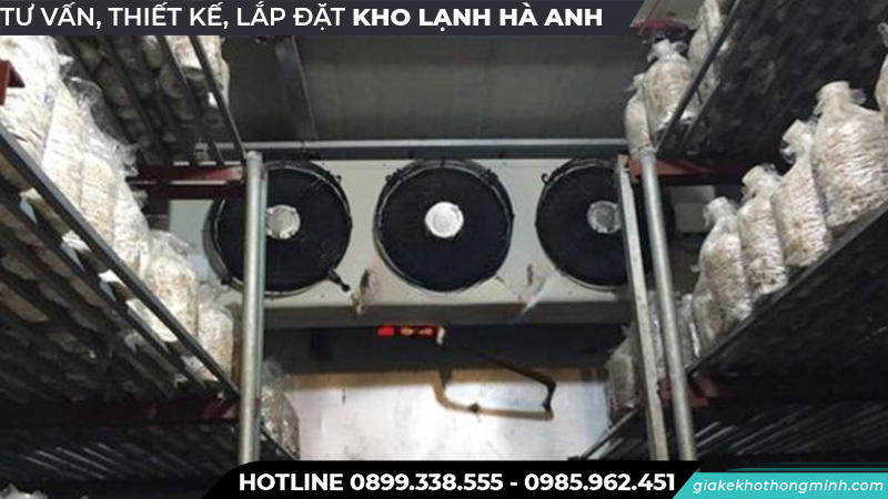 Lắp kho lạnh bảo quản nấm