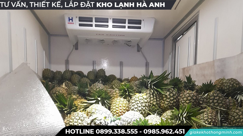 Kho lạnh bảo quản dứa