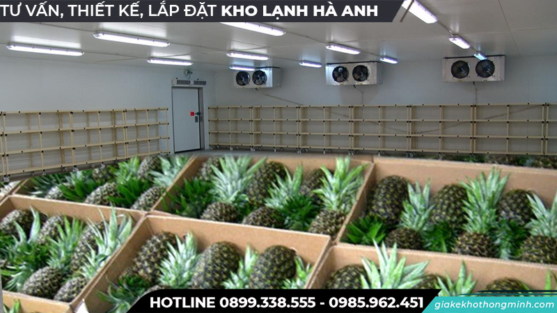 Kho lạnh bảo quản dứa xuất khẩu