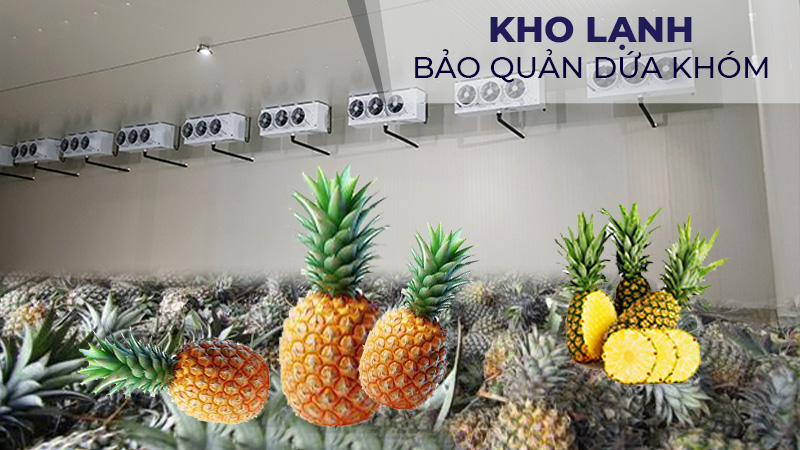 Kho lạnh bảo quản dứa