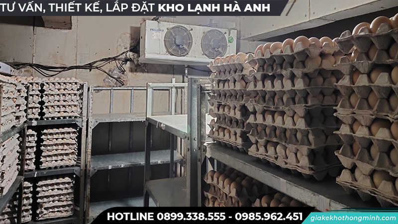 Kho lạnh bảo quản trứng chất lượng Hà Anh