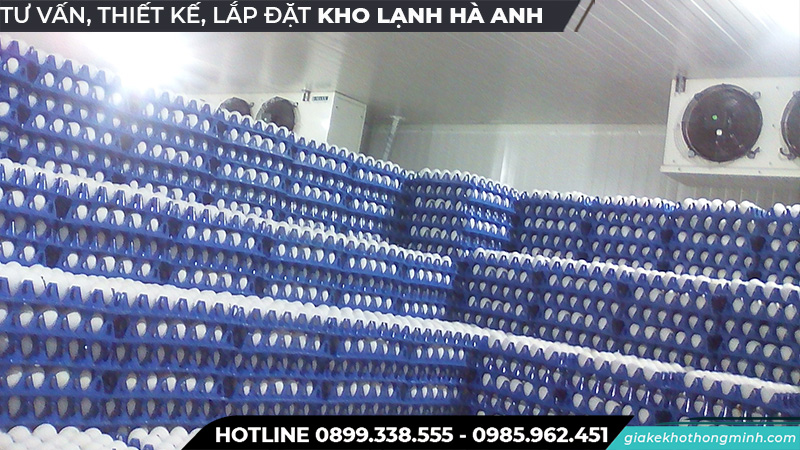 Kho lạnh bảo quản trứng số lượng lớn