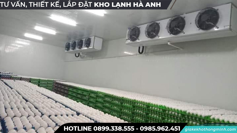 Kho lạnh bảo quản trứng