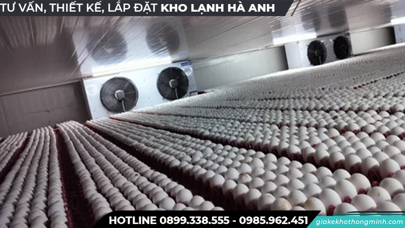 Kho lạnh bảo quản trứng