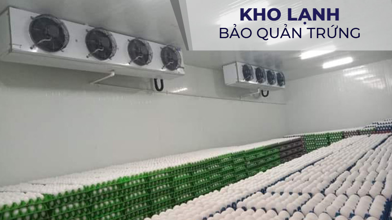 Kho lạnh bảo quản trứng